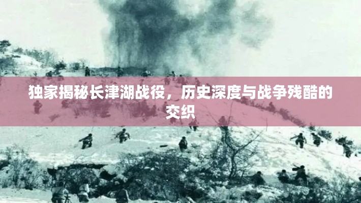 獨(dú)家揭秘長津湖戰(zhàn)役，歷史深度與戰(zhàn)爭殘酷的交織