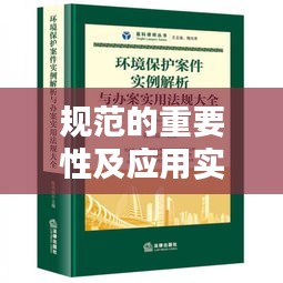 規(guī)范的重要性及應(yīng)用實(shí)例解析