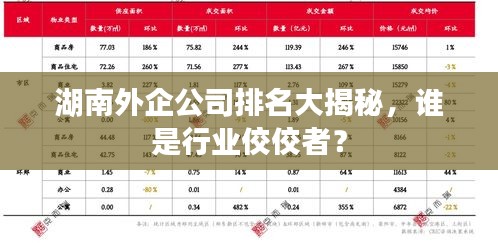 湖南外企公司排名大揭秘，誰是行業(yè)佼佼者？