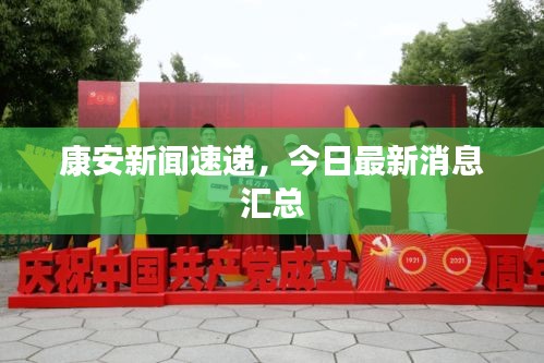 康安新聞速遞，今日最新消息匯總