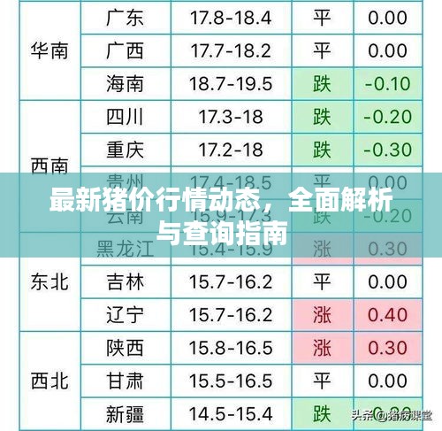 最新豬價行情動態(tài)，全面解析與查詢指南