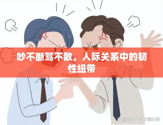 吵不斷罵不散，人際關(guān)系中的韌性紐帶