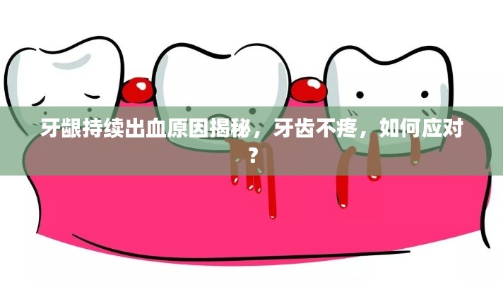 牙齦持續(xù)出血原因揭秘，牙齒不疼，如何應(yīng)對(duì)？