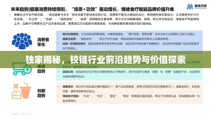 獨(dú)家揭秘，鉸鏈行業(yè)前沿趨勢(shì)與價(jià)值探索