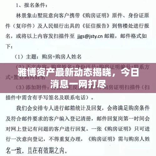 雅博資產(chǎn)最新動態(tài)揭曉，今日消息一網(wǎng)打盡