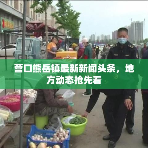 營口熊岳鎮(zhèn)最新新聞頭條，地方動態(tài)搶先看