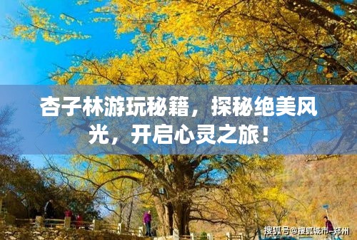 精益求精 第2頁