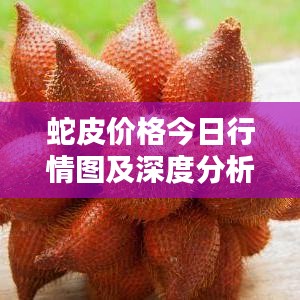 蛇皮價(jià)格今日行情圖及深度分析