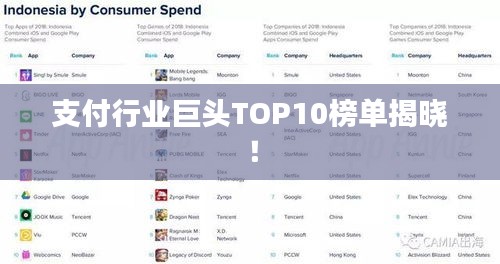 支付行業(yè)巨頭TOP10榜單揭曉！