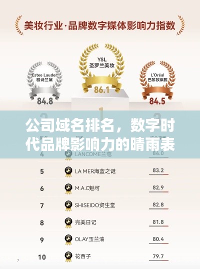 公司域名排名，數(shù)字時(shí)代品牌影響力的晴雨表
