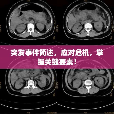 百鳥齊鳴 第2頁