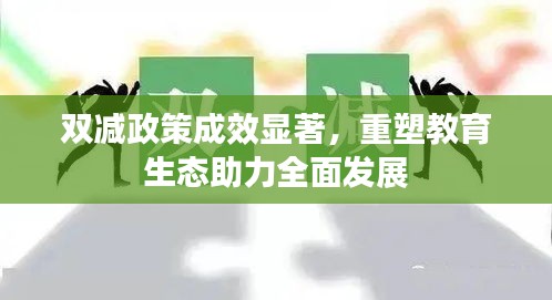 雙減政策成效顯著，重塑教育生態(tài)助力全面發(fā)展