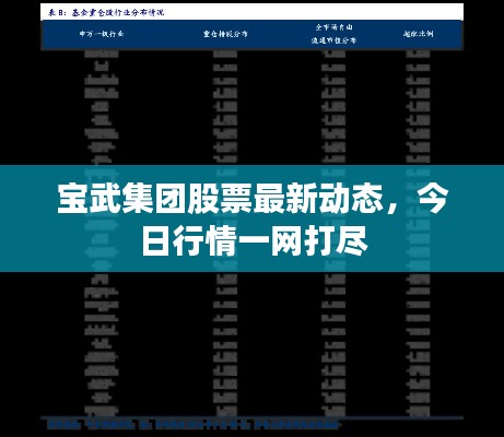 寶武集團股票最新動態(tài)，今日行情一網(wǎng)打盡