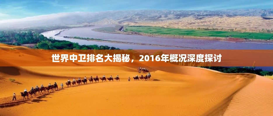 世界中衛(wèi)排名大揭秘，2016年概況深度探討