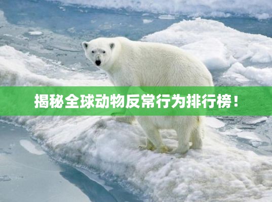 揭秘全球動(dòng)物反常行為排行榜！