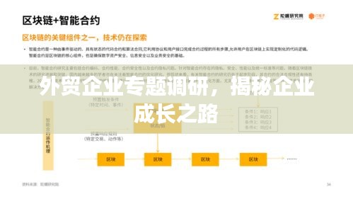 外貿(mào)企業(yè)專題調(diào)研，揭秘企業(yè)成長之路