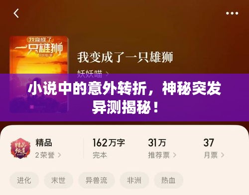 小說中的意外轉(zhuǎn)折，神秘突發(fā)異測揭秘！