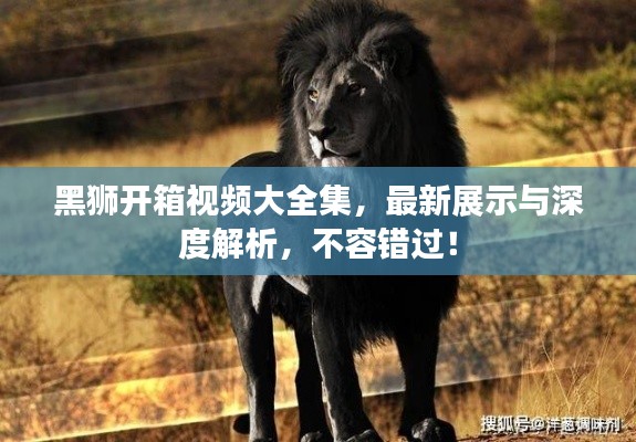 黑獅開箱視頻大全集，最新展示與深度解析，不容錯過！
