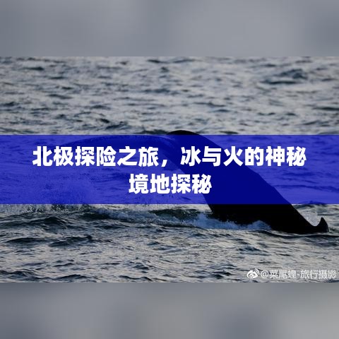 衣不兼采 第2頁