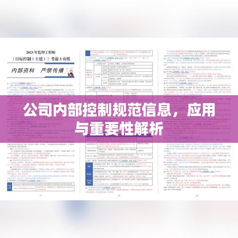 公司內部控制規(guī)范信息，應用與重要性解析