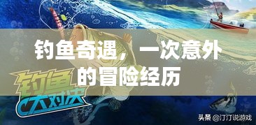 釣魚奇遇，一次意外的冒險經(jīng)歷