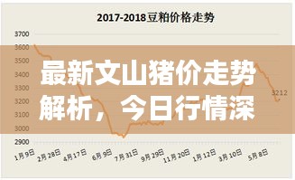 最新文山豬價(jià)走勢(shì)解析，今日行情深度剖析