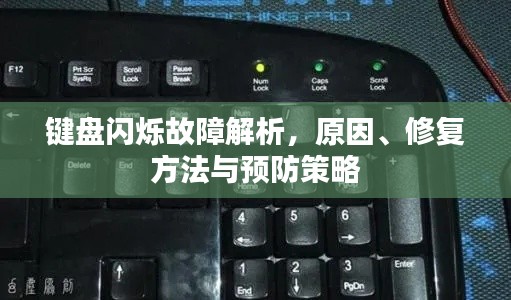 鍵盤閃爍故障解析，原因、修復(fù)方法與預(yù)防策略