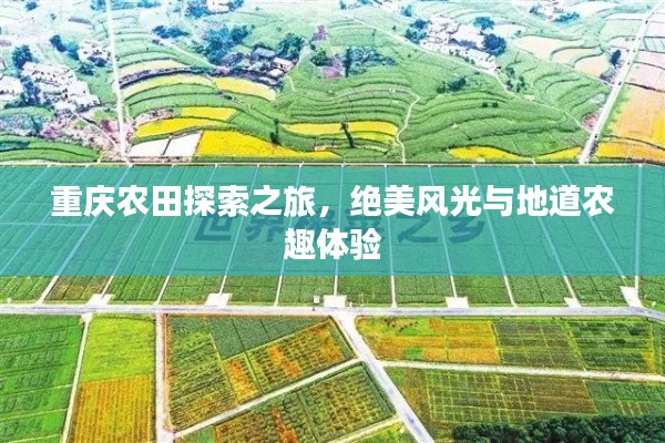 重慶農(nóng)田探索之旅，絕美風(fēng)光與地道農(nóng)趣體驗