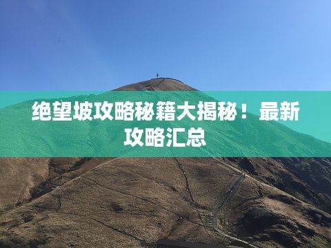 絕望坡攻略秘籍大揭秘！最新攻略匯總