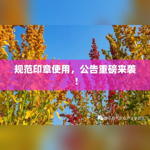 矯枉過正 第2頁