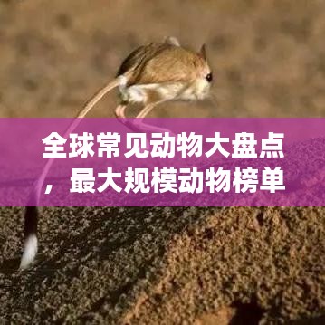 全球常見動物大盤點，最大規(guī)模動物榜單來襲！