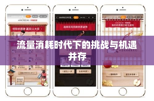 流量消耗時(shí)代下的挑戰(zhàn)與機(jī)遇并存