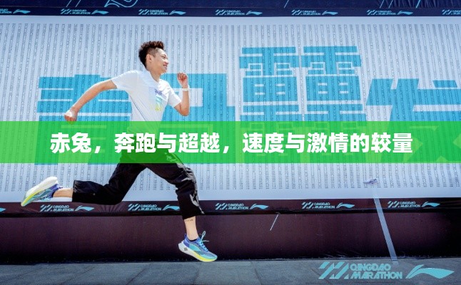 赤兔，奔跑與超越，速度與激情的較量
