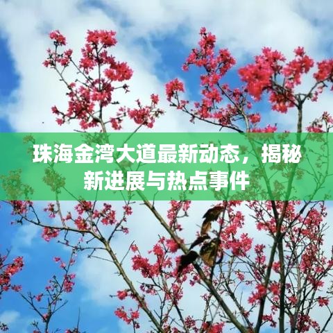 珠海金灣大道最新動(dòng)態(tài)，揭秘新進(jìn)展與熱點(diǎn)事件