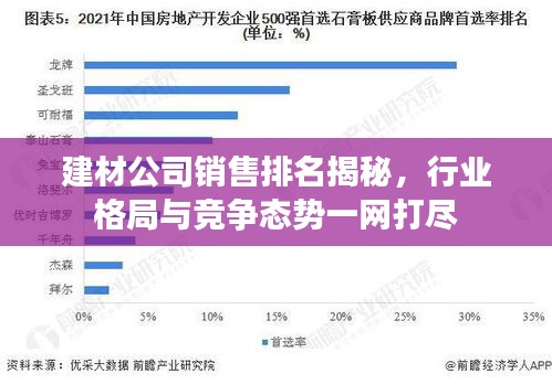 建材公司銷售排名揭秘，行業(yè)格局與競爭態(tài)勢一網(wǎng)打盡
