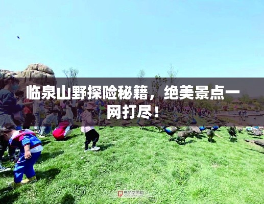 臨泉山野探險(xiǎn)秘籍，絕美景點(diǎn)一網(wǎng)打盡！