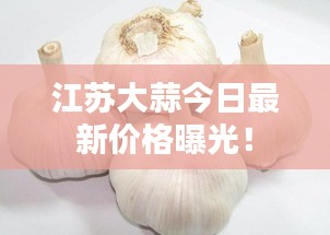 江蘇大蒜今日最新價(jià)格曝光！