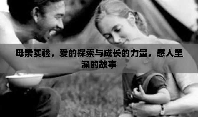 母親實(shí)驗(yàn)，愛的探索與成長的力量，感人至深的故事