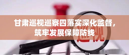 甘肅巡視巡察四落實(shí)深化監(jiān)督，筑牢發(fā)展保障防線