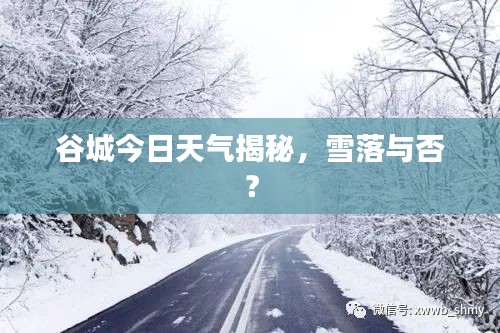谷城今日天氣揭秘，雪落與否？