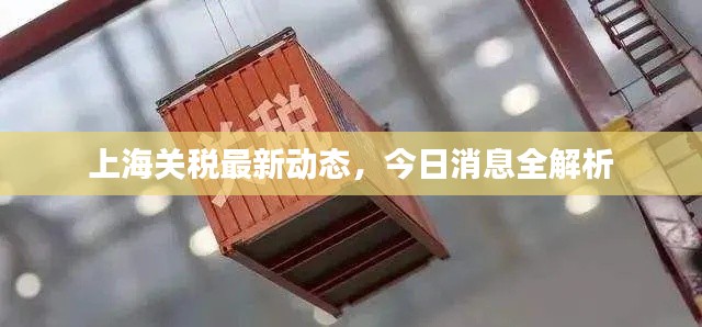 上海關(guān)稅最新動(dòng)態(tài)，今日消息全解析
