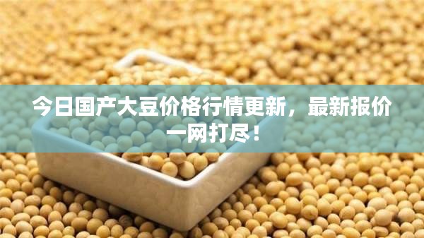 今日國(guó)產(chǎn)大豆價(jià)格行情更新，最新報(bào)價(jià)一網(wǎng)打盡！