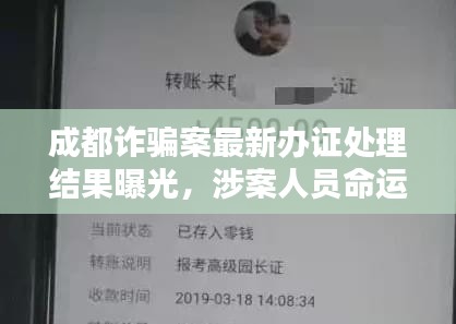 成都詐騙案最新辦證處理結(jié)果曝光，涉案人員命運(yùn)揭曉