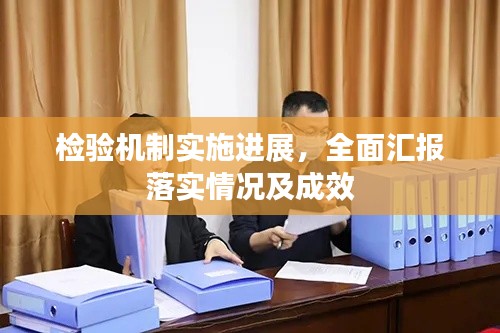 檢驗機制實施進展，全面匯報落實情況及成效