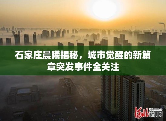 石家莊晨曦揭秘，城市覺(jué)醒的新篇章突發(fā)事件全關(guān)注