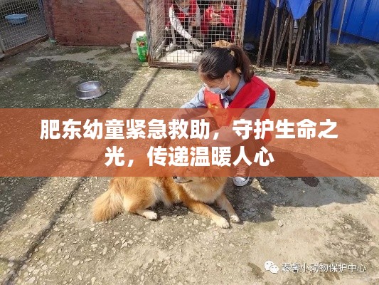 肥東幼童緊急救助，守護(hù)生命之光，傳遞溫暖人心