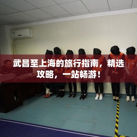 武昌至上海的旅行指南，精選攻略，一站暢游！