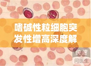 嗜堿性粒細(xì)胞突發(fā)性增高深度解析，原因、影響與應(yīng)對(duì)措施