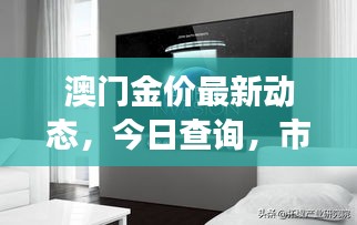 澳門金價最新動態(tài)，今日查詢，市場走勢及影響因素深度解析