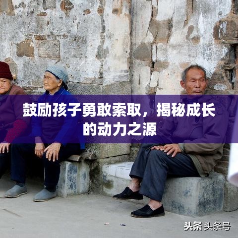 鼓勵(lì)孩子勇敢索取，揭秘成長(zhǎng)的動(dòng)力之源